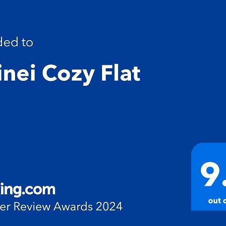 Doinei Cozy Flat Daire Temeşvar Dış mekan fotoğraf