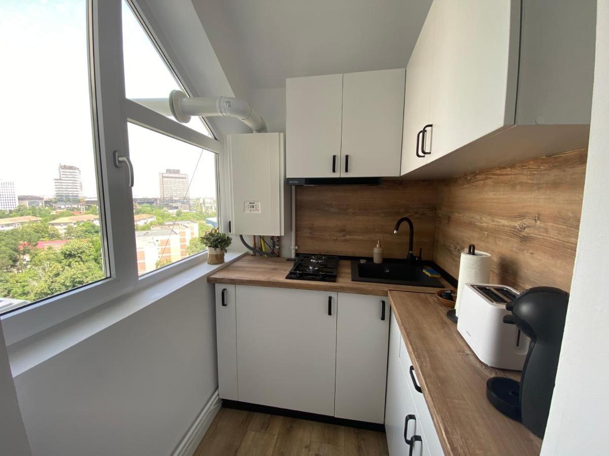 Doinei Cozy Flat Daire Temeşvar Dış mekan fotoğraf