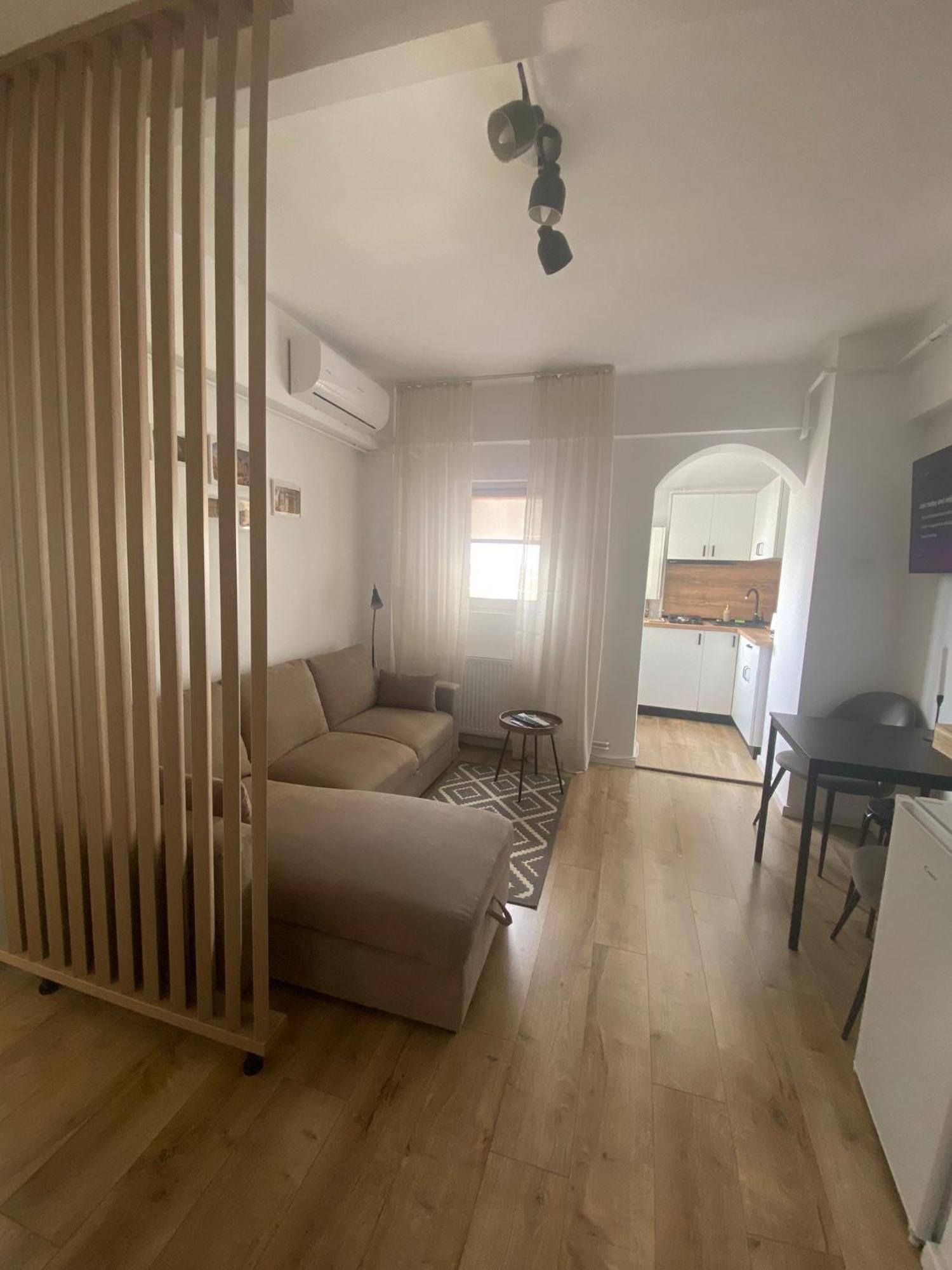 Doinei Cozy Flat Daire Temeşvar Dış mekan fotoğraf