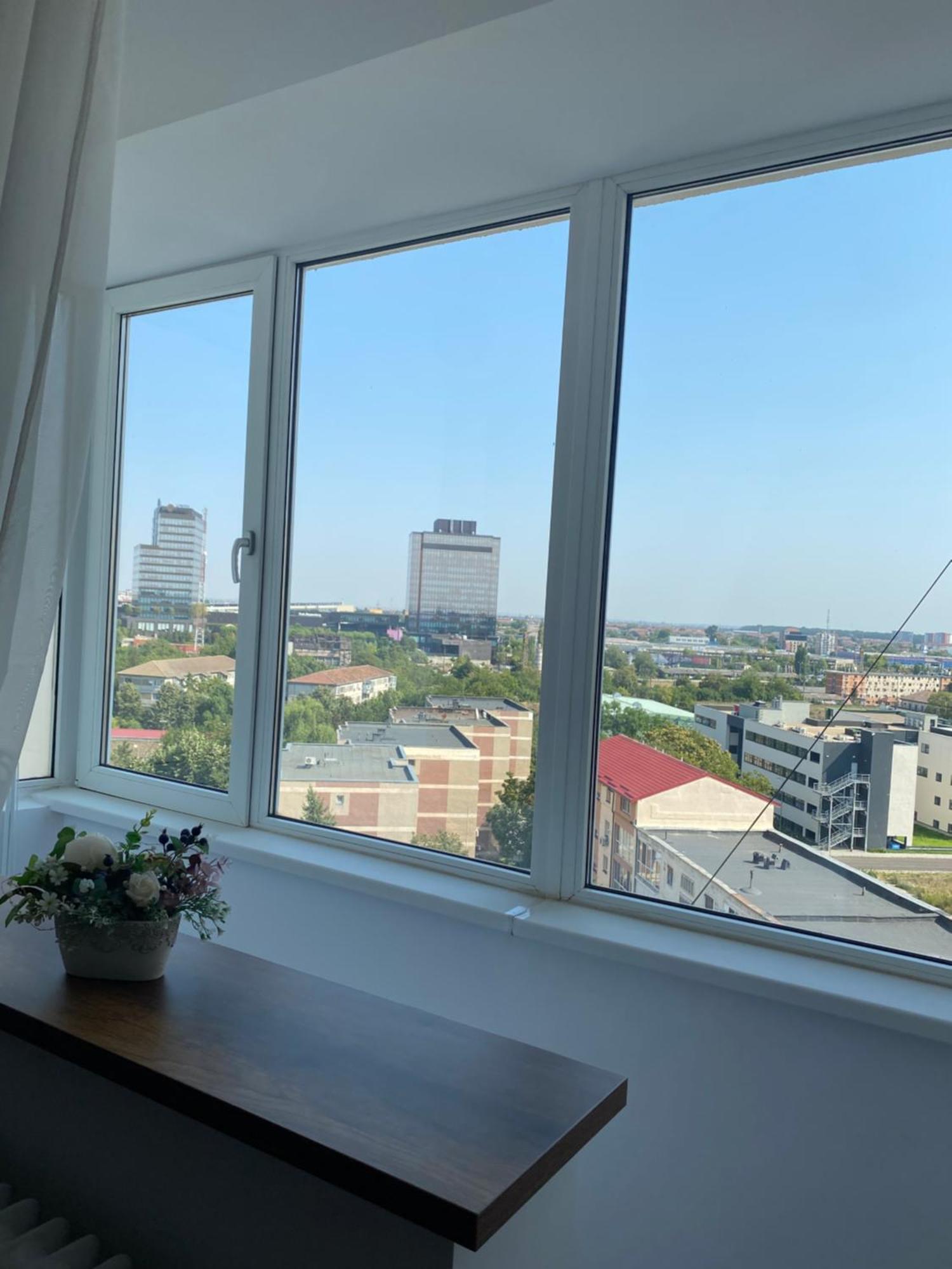 Doinei Cozy Flat Daire Temeşvar Dış mekan fotoğraf